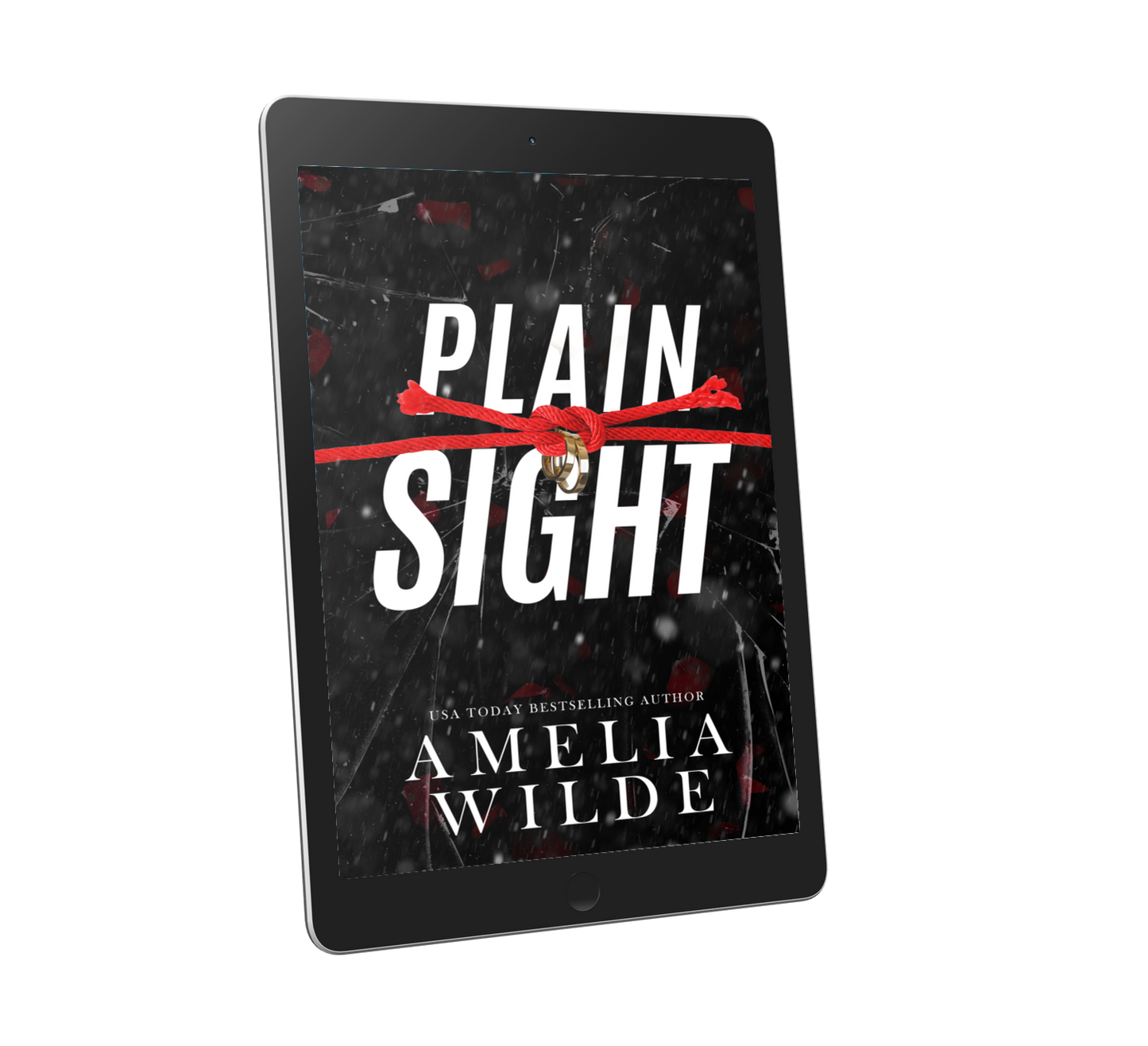 Plain Sight (PREORDER)